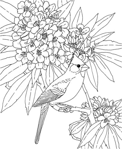 Azalea coloring pages for adults