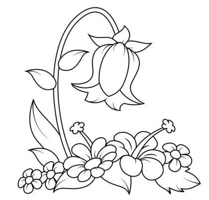 Bellflower coloring pages printable