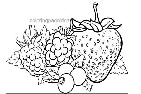 Berries Coloring Page