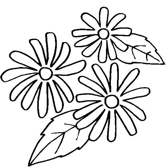 Black-eyed susan coloring pages printable