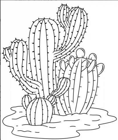 Cactus coloring pages printable