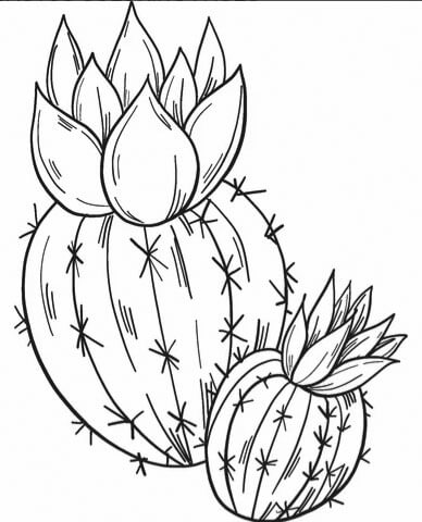 Cactus coloring sheet