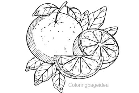 Citrus-fruits Coloring Page