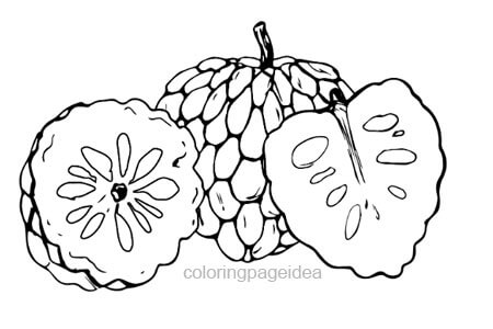 Custard Apple Coloring Pages