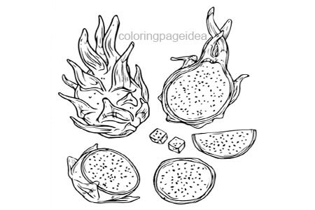 Dragon Fruit Coloring Pages