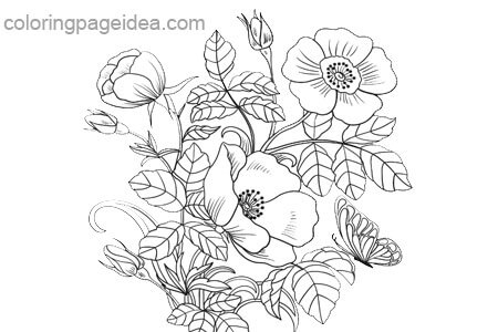 Ginger Flower Coloring Page