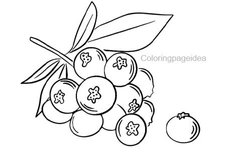 Huckleberry Coloring Page