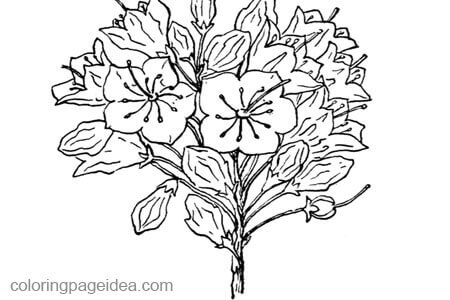 Laurel Coloring Pages