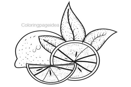 Lemon Coloring Page