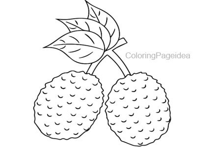 Lychee Coloring Page