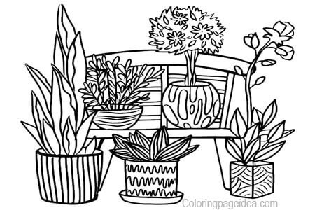 Plants Coloring Page