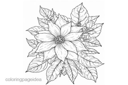 Poinsettia Coloring Page