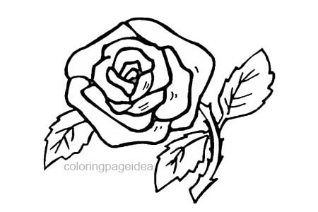 Simple Flower Coloring Pages