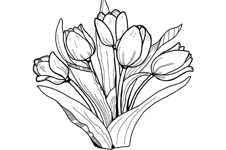 Tulip Coloring Pages pdf