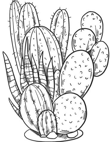 printable Cactus Flower