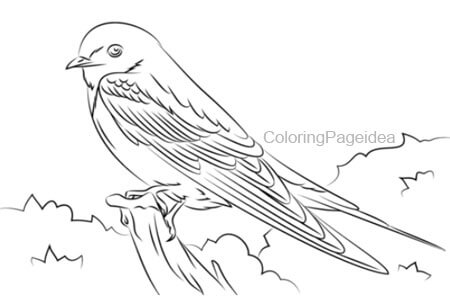 Barn swallow Coloring Pages