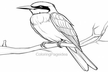 Bee-Eater Coloring Pages