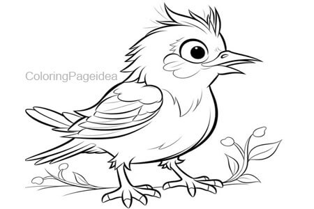 Catbird Coloring Pages