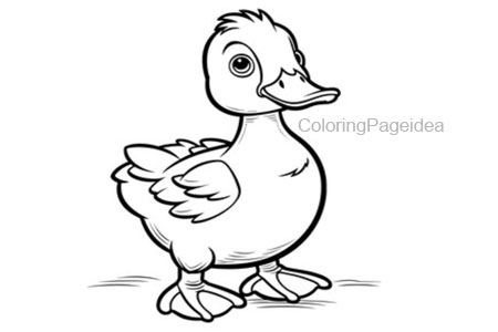 Coot Coloring Pages