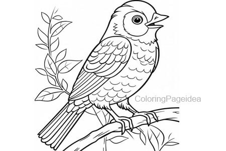 Cuckoo Coloring Pages