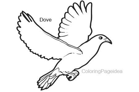 Dove Coloring Pages