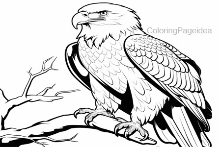 Eagle Coloring Pages