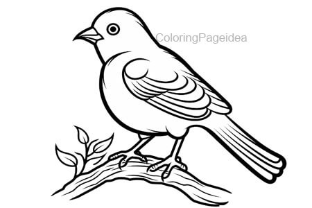 Goldfinch Coloring Pages