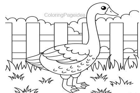 Goose Coloring Pages