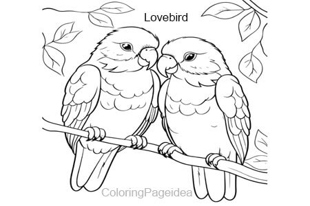 Lovebird Coloring Pages