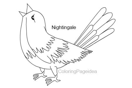 Nightingale Coloring Pages