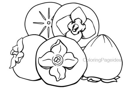 Persimmon Coloring Pages