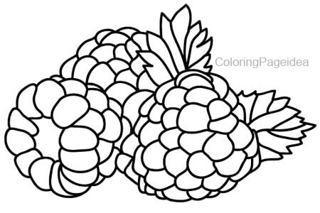 Raspberry Coloring Pages