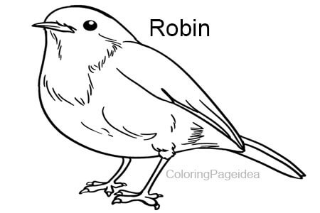 Robin Coloring Pages