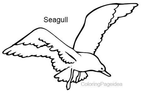 Seagull Coloring Pages