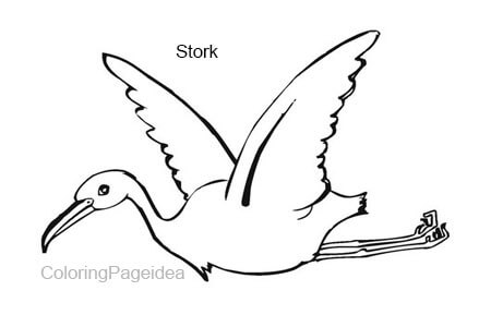 Stork Coloring Pages