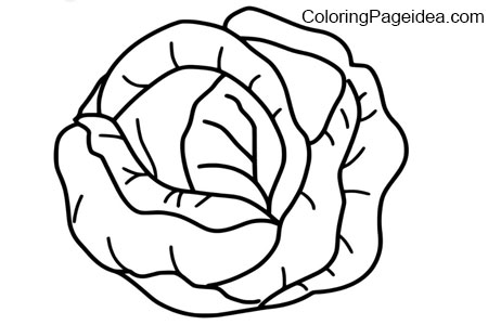 Cabbages Coloring Page