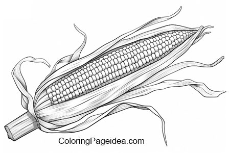 Maize Coloring Page